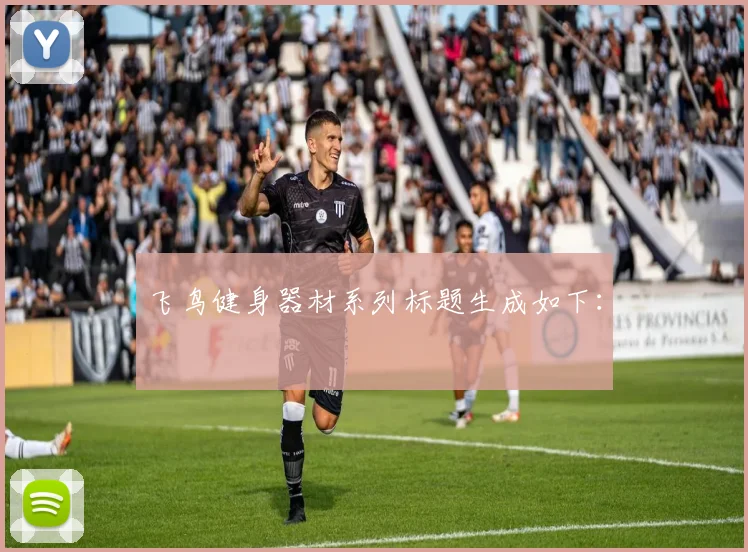 飞鸟健身器材系列标题生成如下：