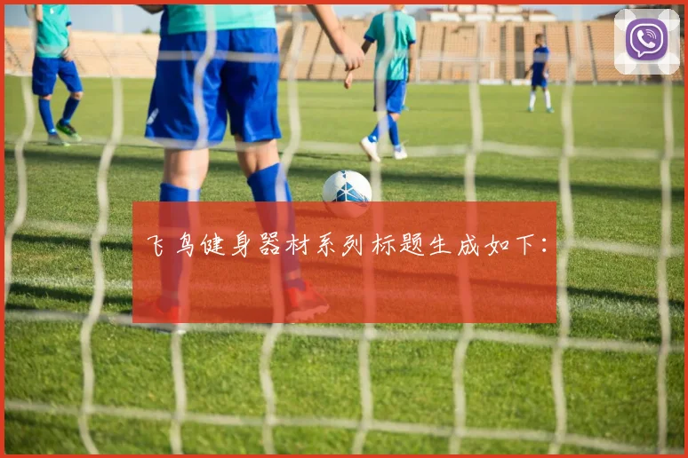 飞鸟健身器材系列标题生成如下：