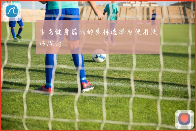 飞鸟健身器材的多样选择与使用技巧探讨