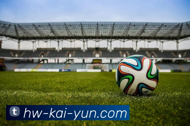 开云平台生态图